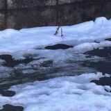 明日、未明から昼頃にかけて関東では雨や雪