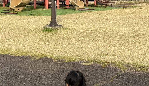 「公園来たらめっちゃ猿遊んでた」　野生のサルが遊具を占拠「滑り台使えない」